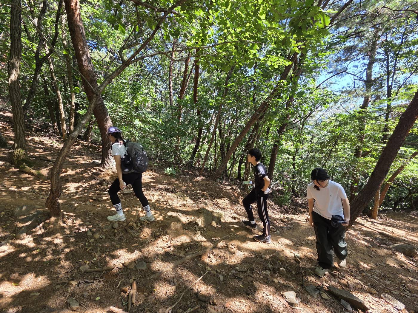 숲길을 한 줄로 올라가는 학생들